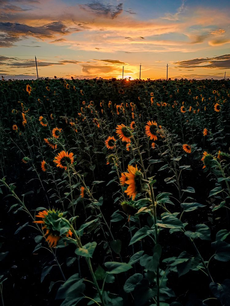 Photograph by Евгений Сеничев