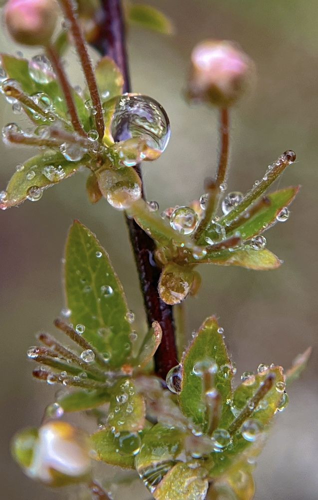 Photograph by Татьяна Михайловна