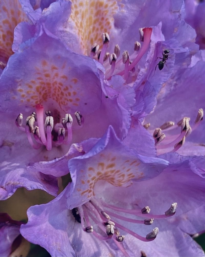 Photograph by Светлана Станевич