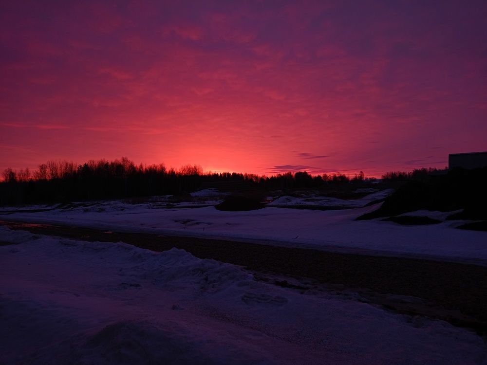 Photo #10933126