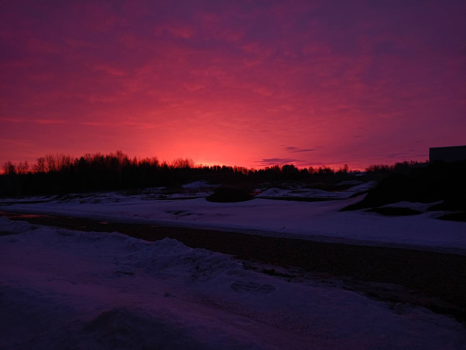 Photo #10933126