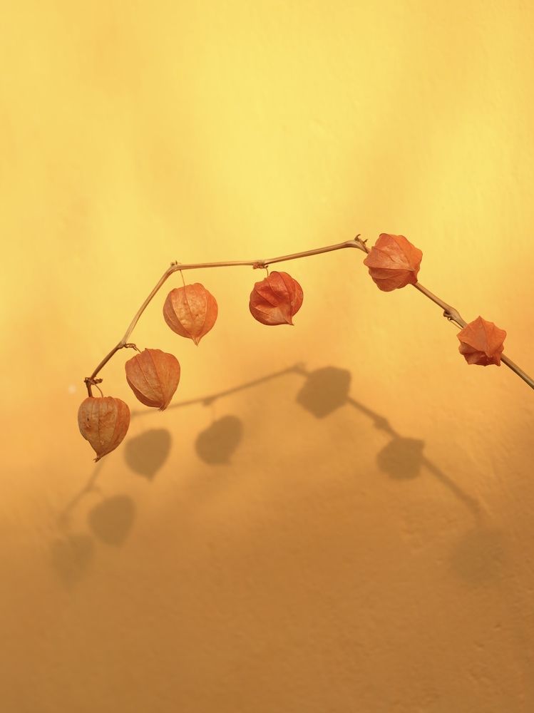 Photograph by Рина Серёгина