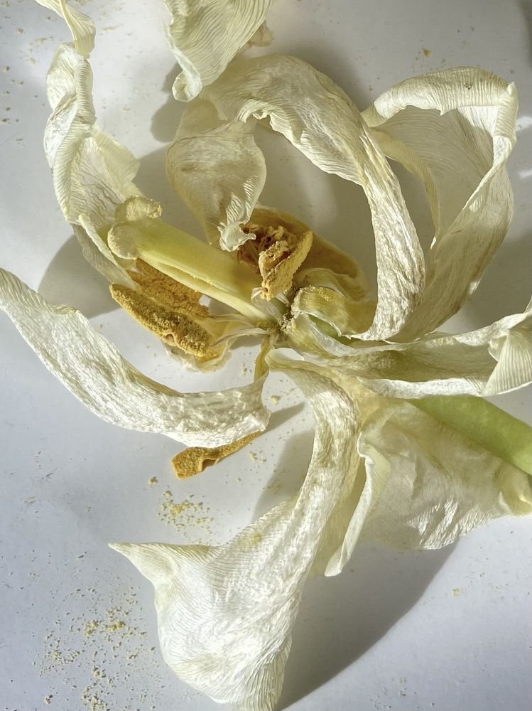 Photograph by Светлана Станевич