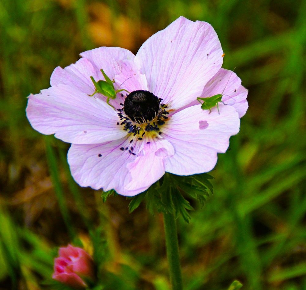 Photograph by Людмила Бутова