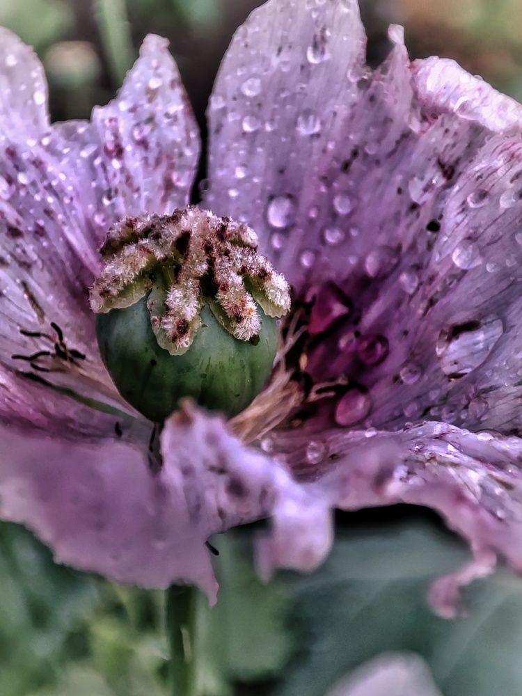 Photograph by Anastasia Malyukova