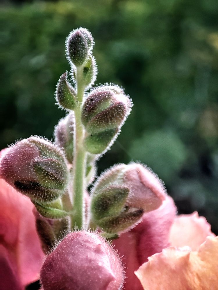 Photograph by Anastasia Malyukova