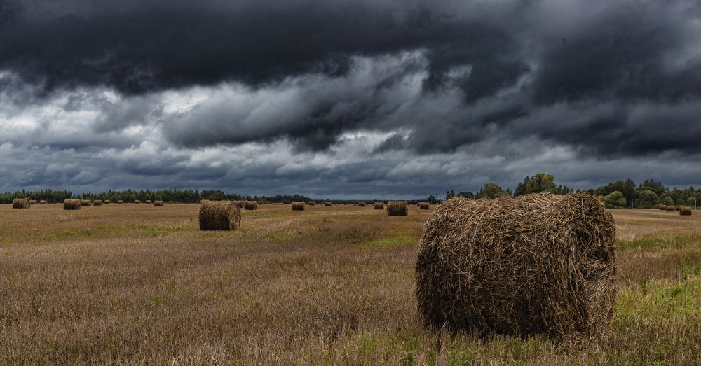 Photograph by Николай