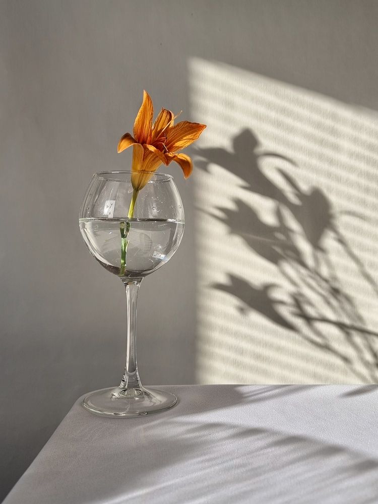 Photograph by Гельфман Галина