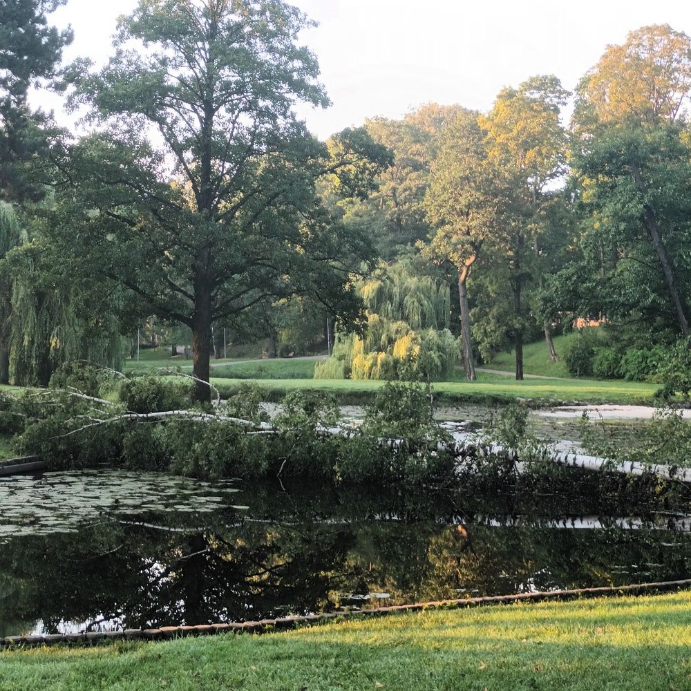 Фотография автора Maks Lanister