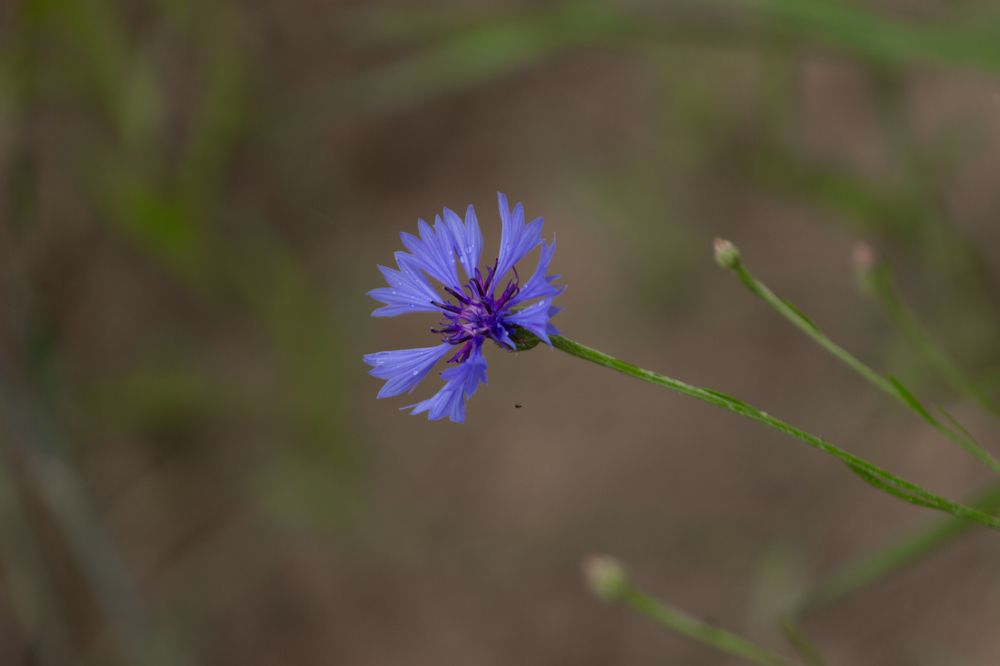 Photograph by Надежда Соболевская