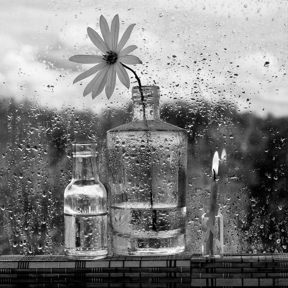 Без названия