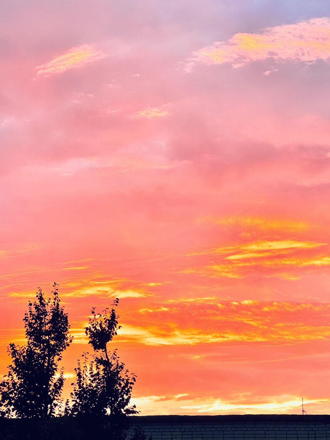 Photo #10933252