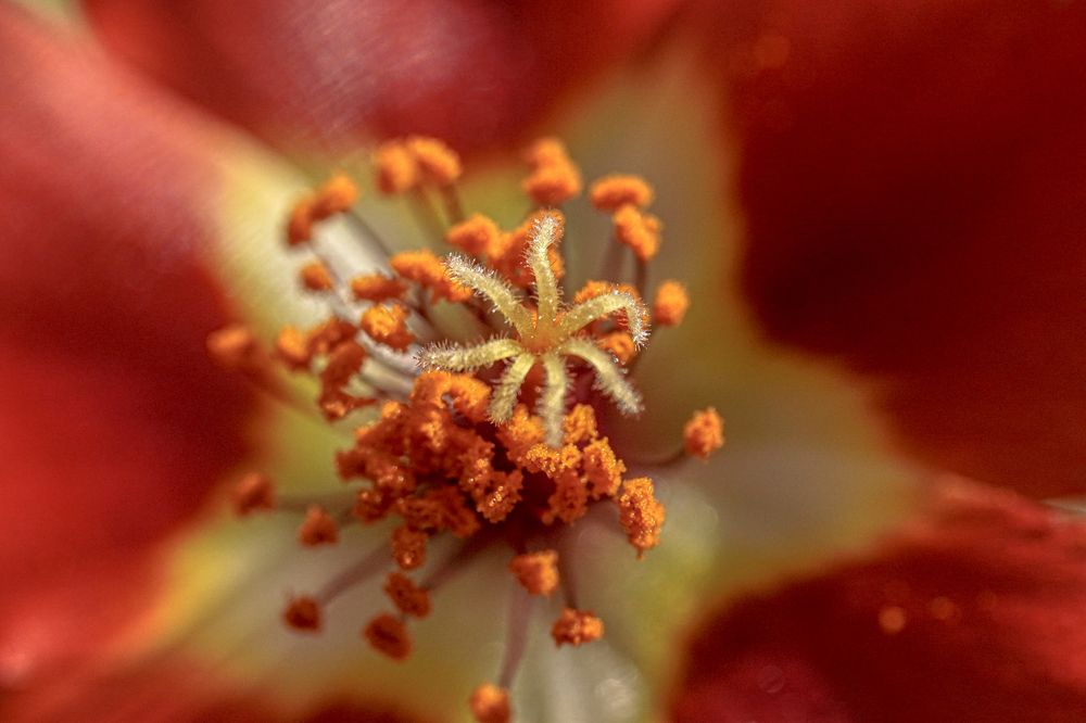 Photograph by Алфия Бугакова