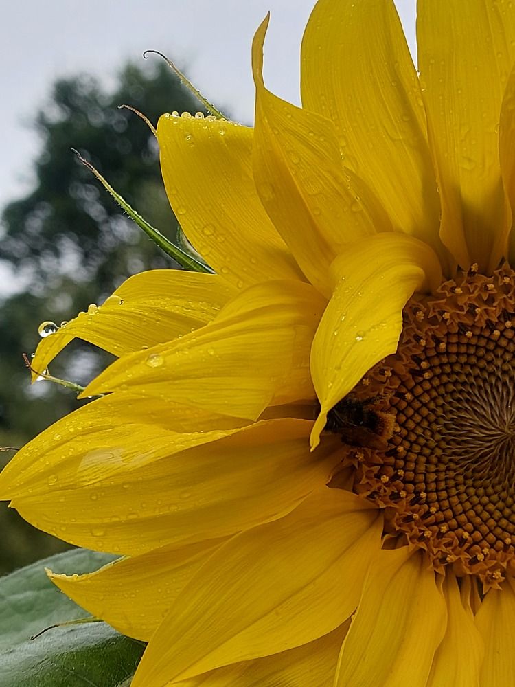 Photograph by Мария Тафеенко