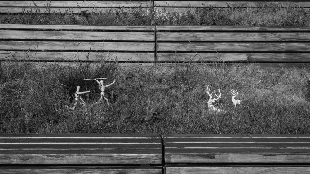 Photograph by Светлана Бохан