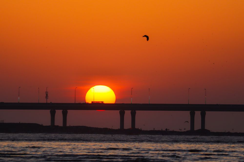 Фотография автора Kushal Lad