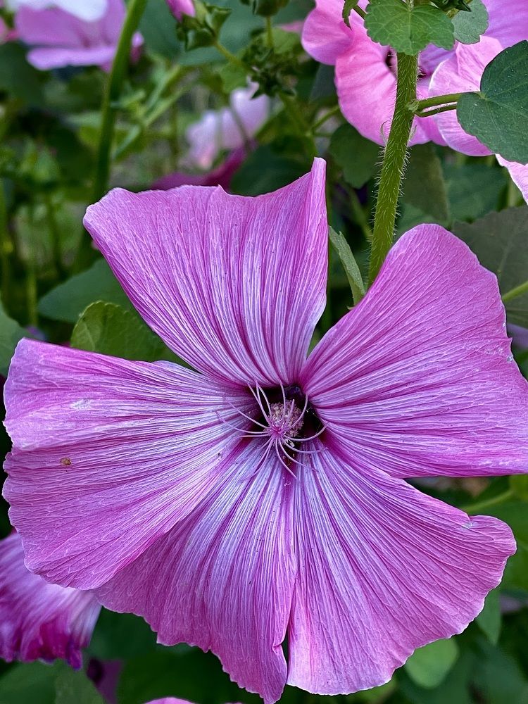 Фотография автора Nadezhda