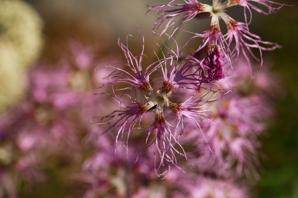 Photograph by Мария Казакова