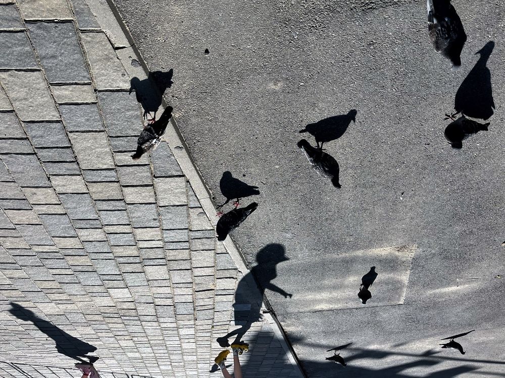 Photograph by Виктория Горельченко