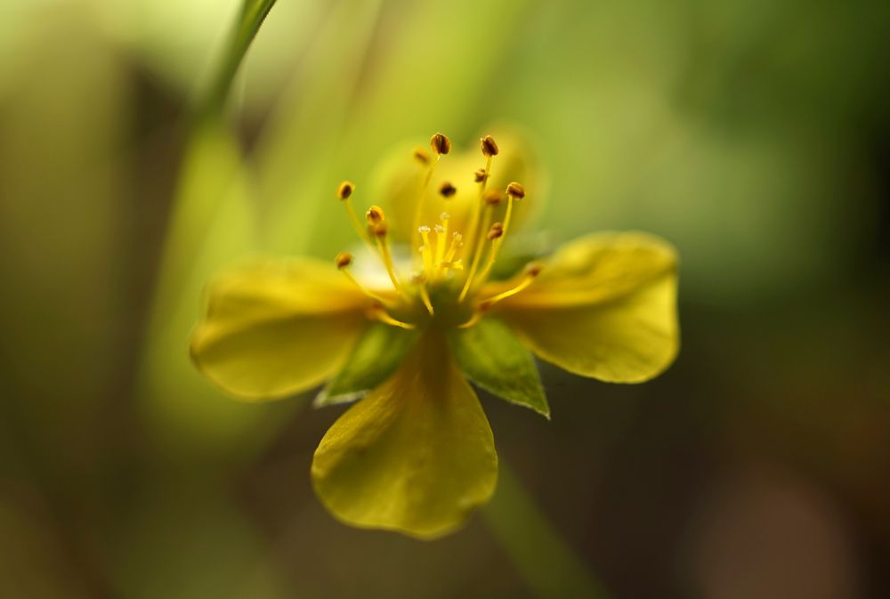 Photograph by Лена Максимкина