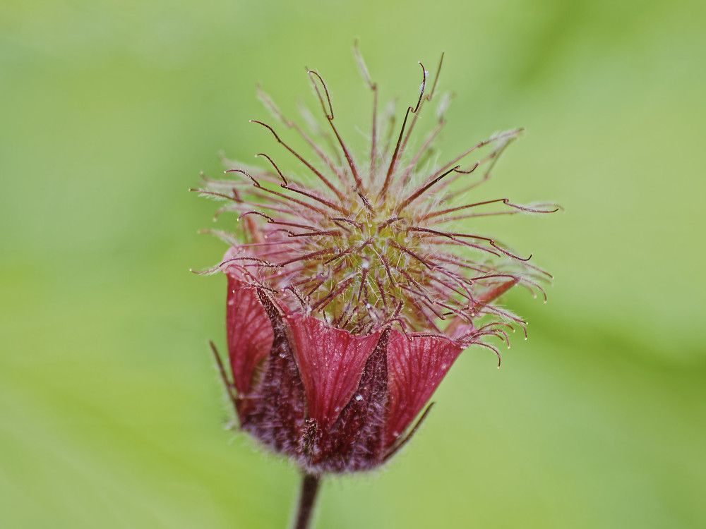 Photograph by Андрей Панин