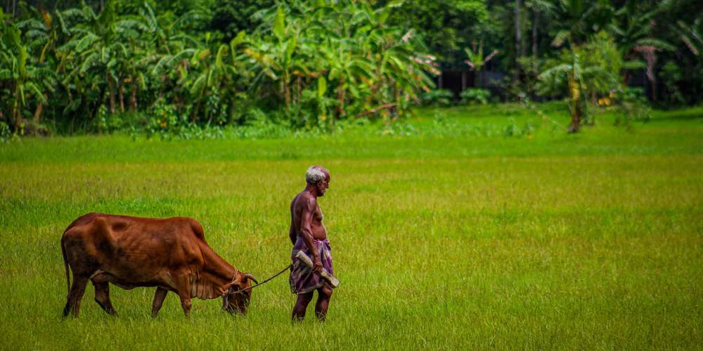 Фотография автора Emon Dey