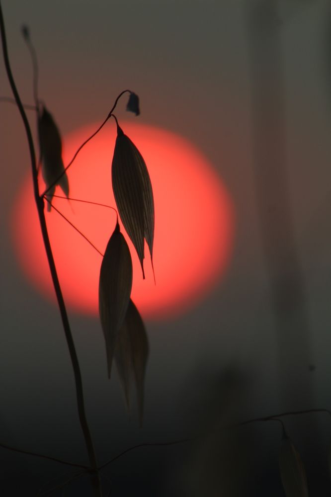 Photograph by Panagiotis Batatolis