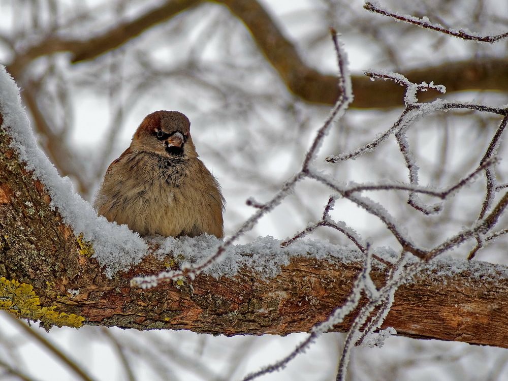 Photograph by Андрей Панин
