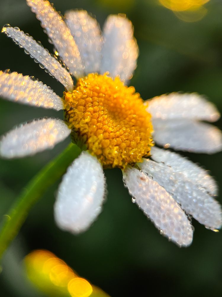 Photograph by Екатерина Валиуллина