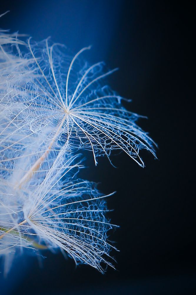 Photograph by Олеся Постнова