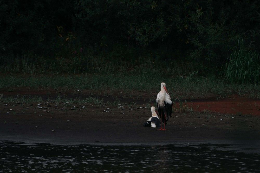 Фотография автора Рыбаков Илья