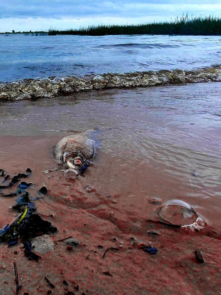 Photograph by Мария Тафеенко