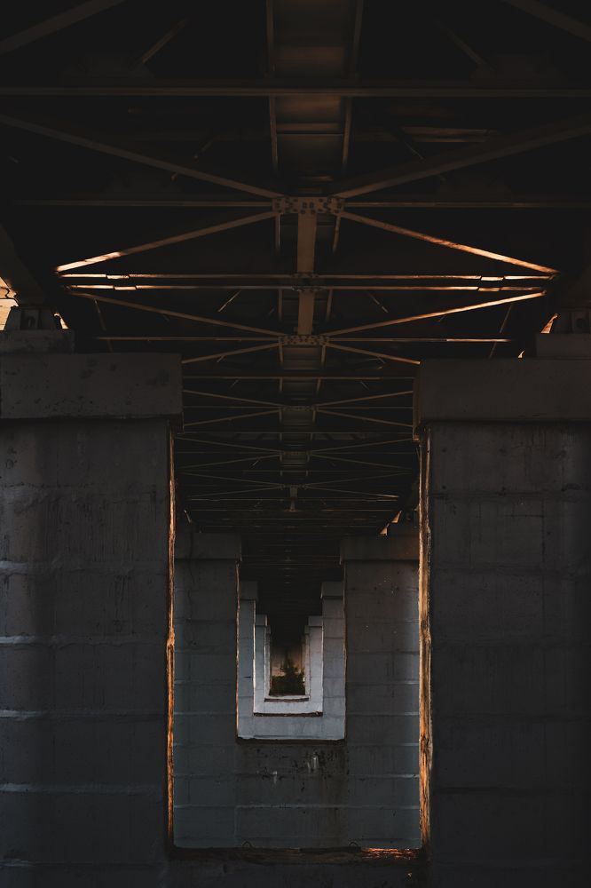 Фотография автора Илья Малеев