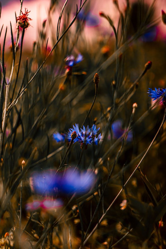 Фотография автора Настя Салтыкова