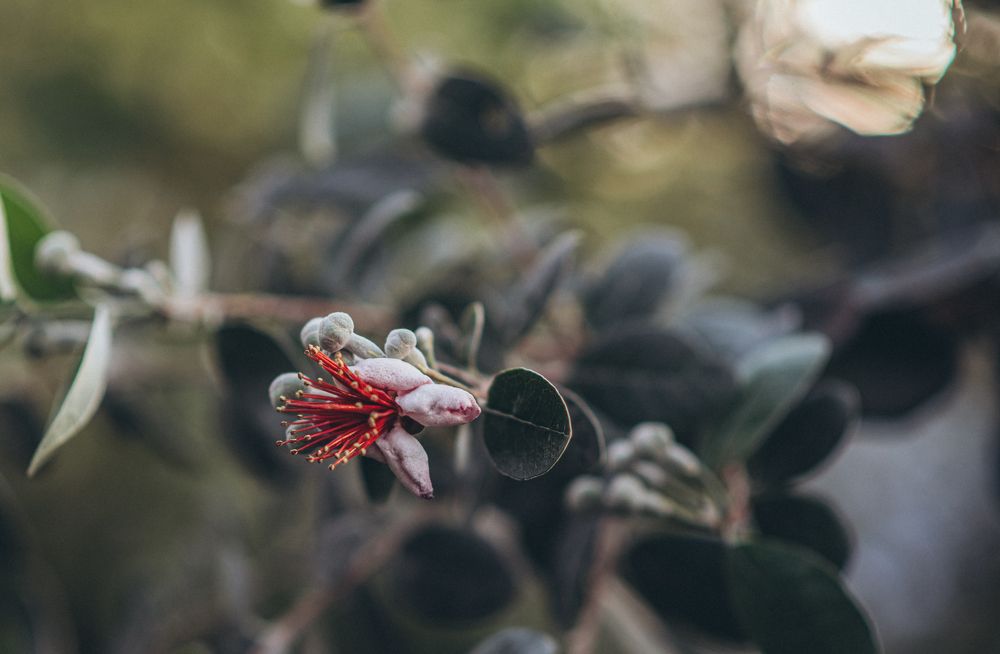 Photograph by Ирина Автандилян