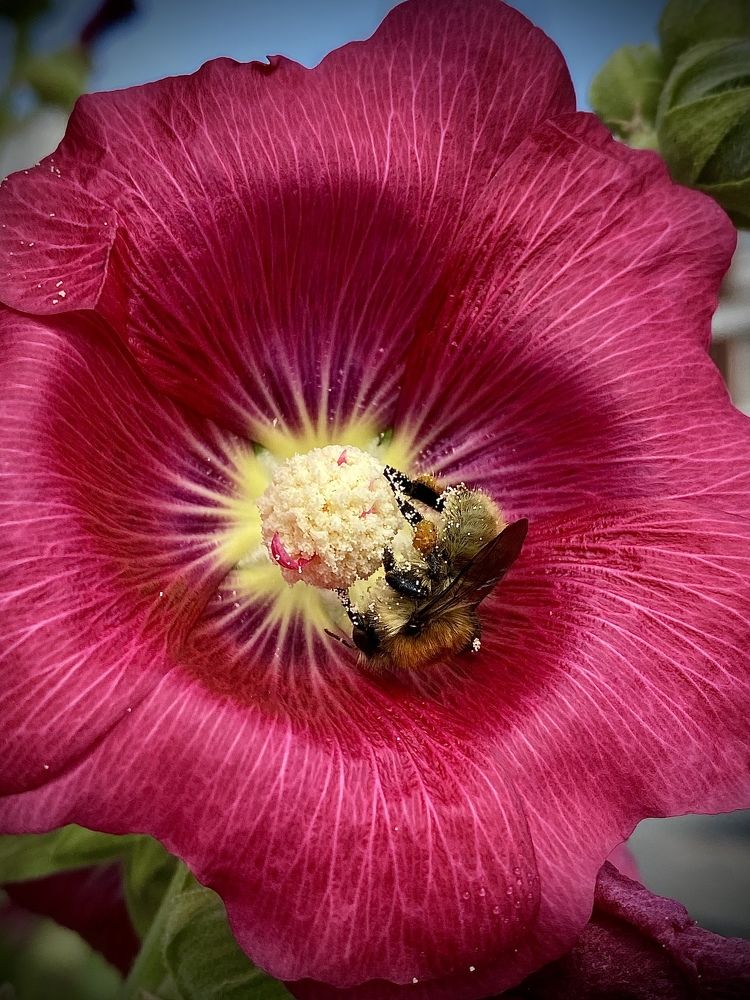 Photograph by Наталья Никитина