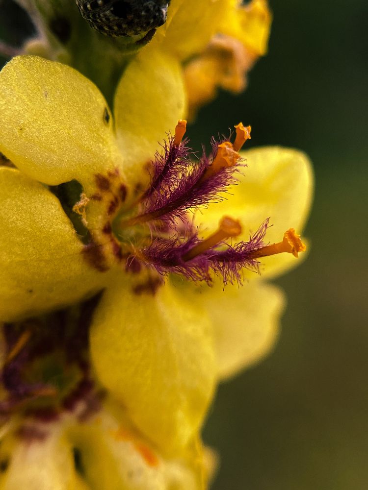 Photograph by Оксана Сологуб