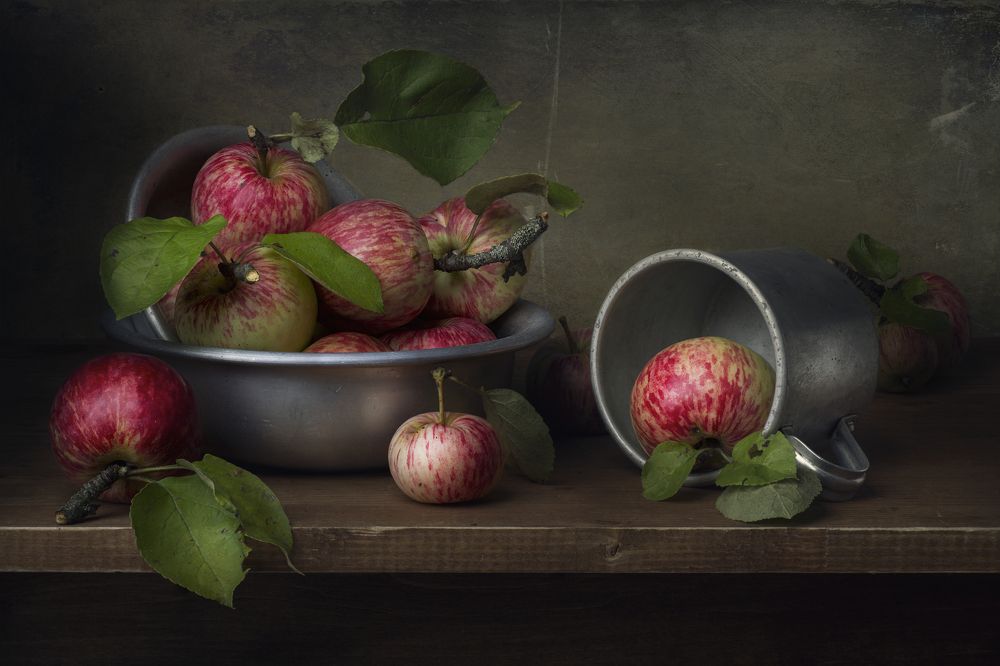 Photograph by Вышарь Максим