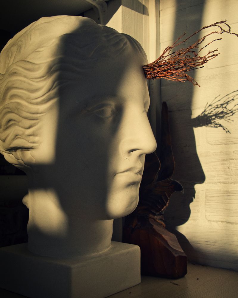 Photograph by Дмитрий Гребнев