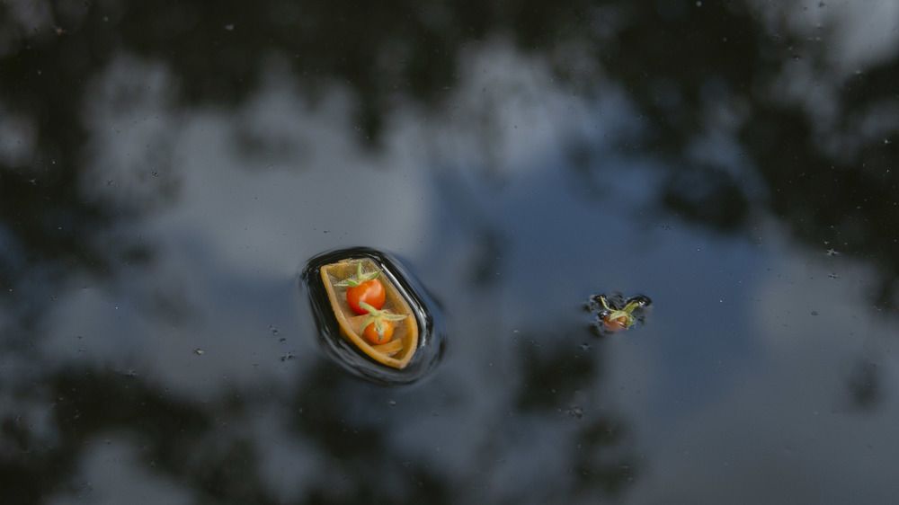 Злые вы, уплыву я от вас