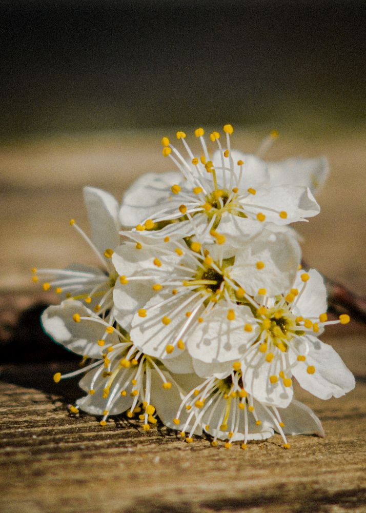 Photograph by Елена Квасова