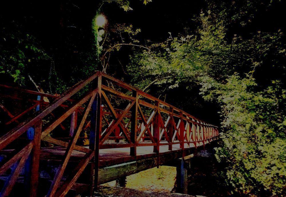Magic bridge