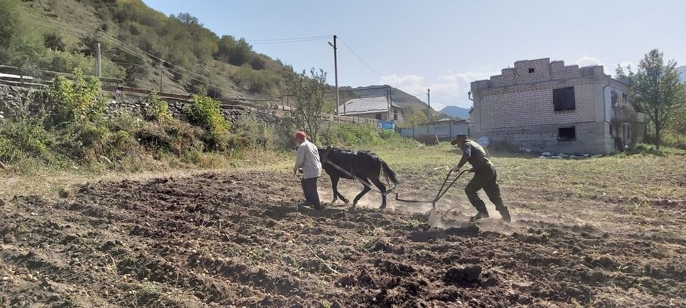 ВЕСНА- ОГОРОД !!!