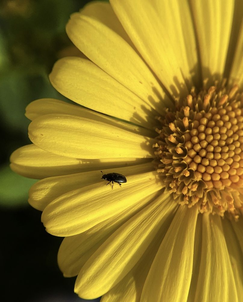 Photograph by Оксана Сологуб