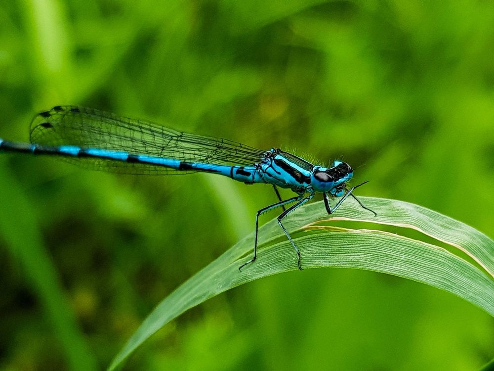 Фотография автора Джаф