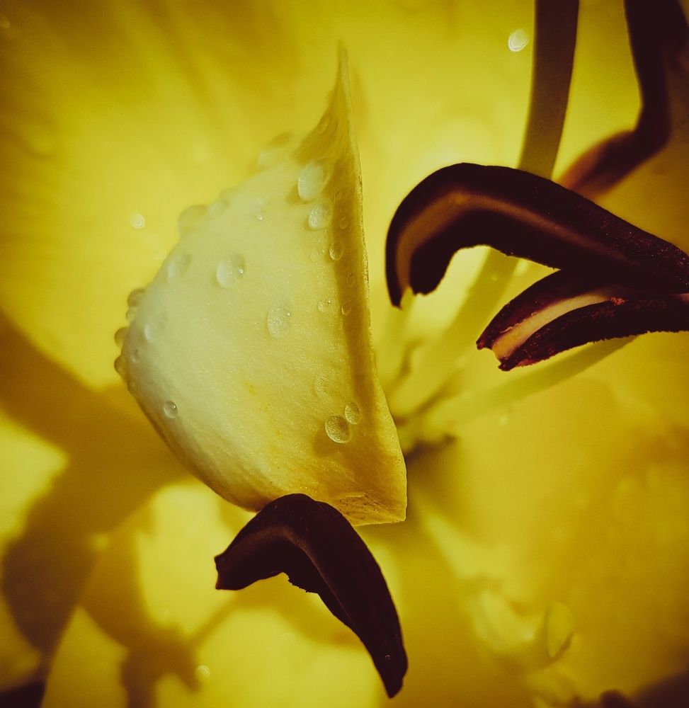 Фотография автора Джаф