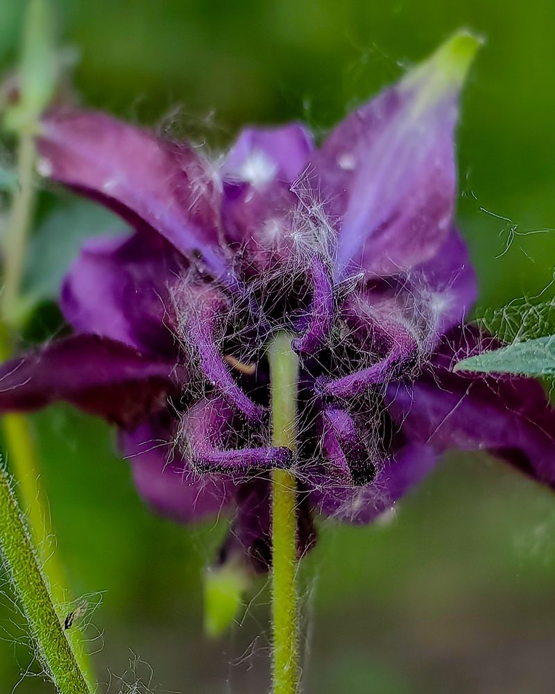 Photograph by Наталья Балабанова