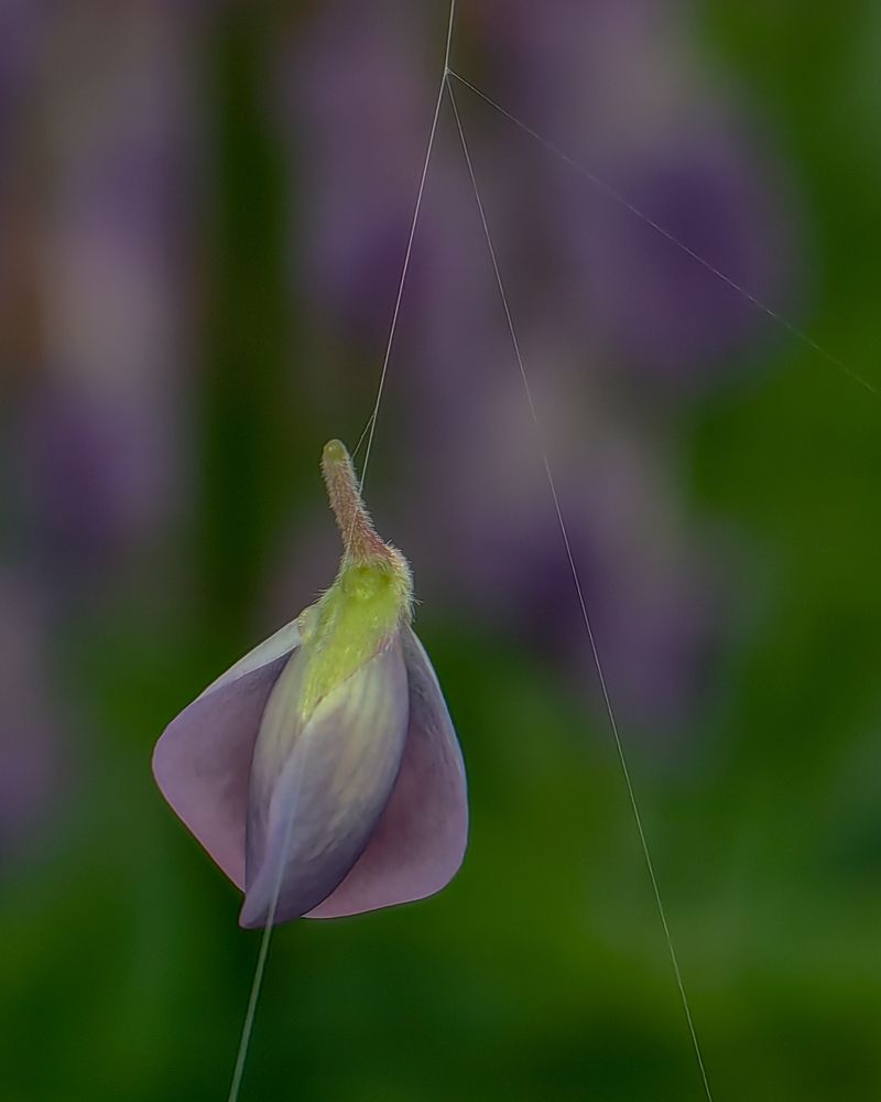 Photograph by Наталья Балабанова