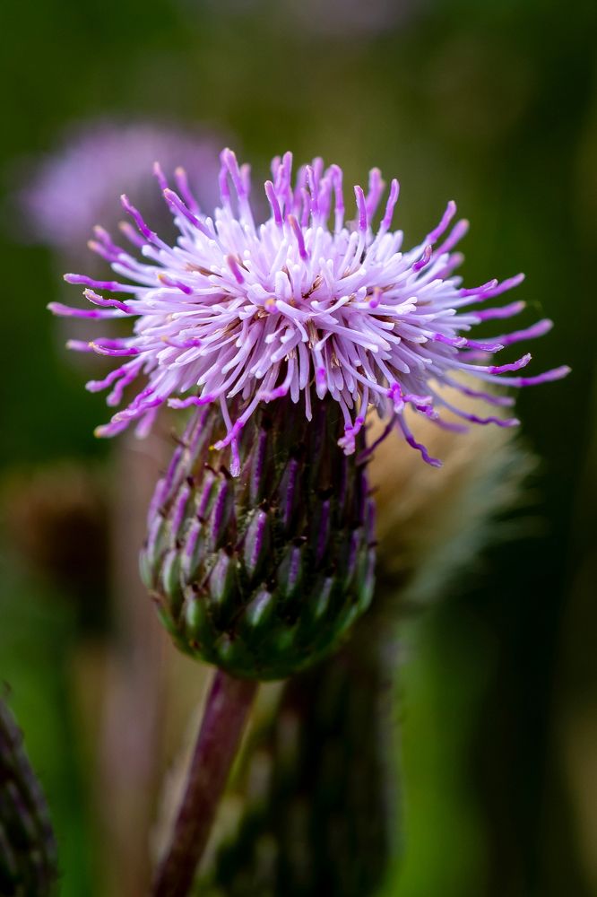 Photograph by Алексей Клейменов