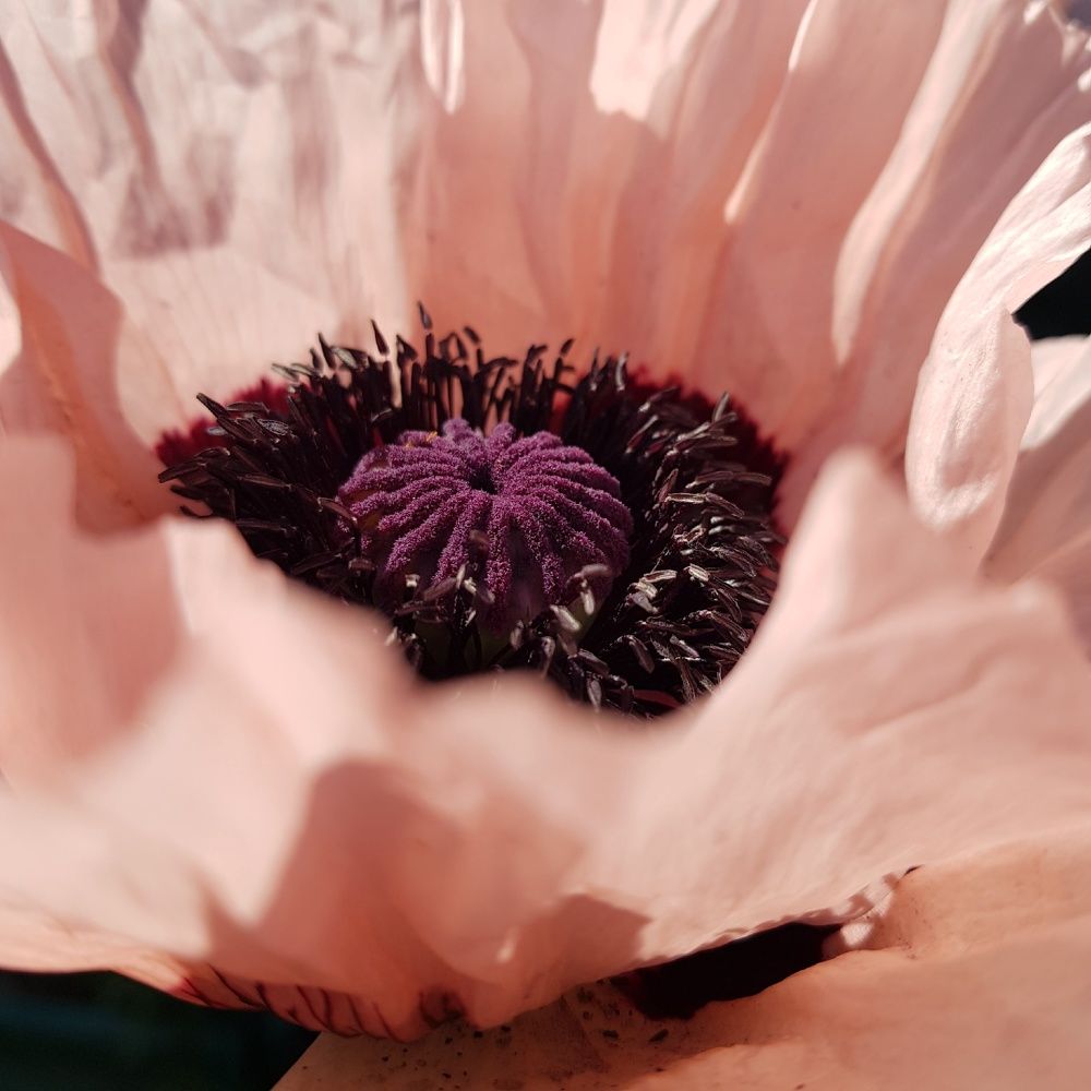 Фотография автора Джаф